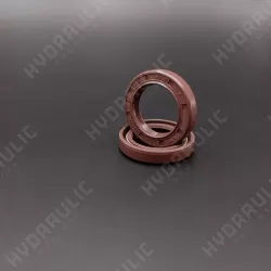 22*32*6/6,5 N1T01 FPM [BABSL]